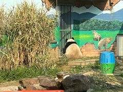 -苏州太湖国家湿地公园