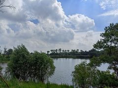 -东海森林温泉度假酒店