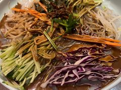 大拉皮-黑土印象菜馆(三元桥店)