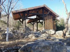 -阳台山自然风景区