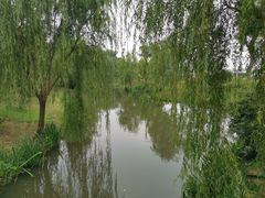 -鹅湖玫瑰文化园