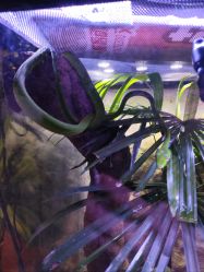 点击看大图 -酷嗒动物文化乐园(cutezoo西溪乐天城店)