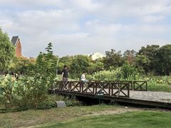 -美兰湖景区