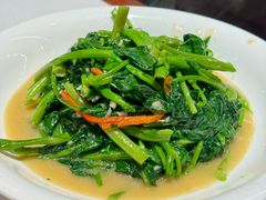 -炆艺乳鸽·煲仔饭大排档(望京来广营店)