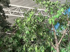 -吉林省自然博物馆