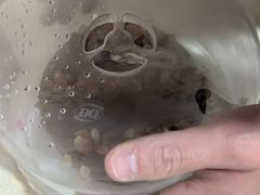 -DQ·蛋糕·冰淇淋(奥林匹克广场店)