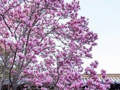-郑和公园