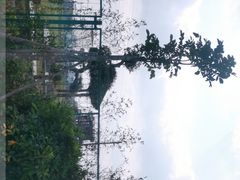 -露天矿生态公园