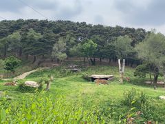 -沈阳森林动物园
