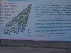 -曹州牡丹园