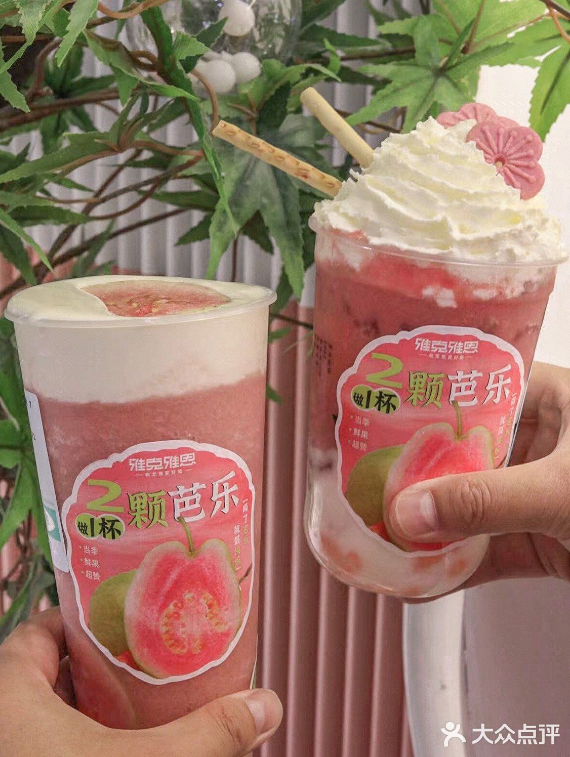 雅克雅思没有创作瓶颈吗?芭乐系列求别下架