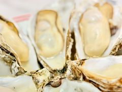 高压锅生蚝-明本海鲜大排档·鱼生海鲜烧烤宵夜(陈家祠店)