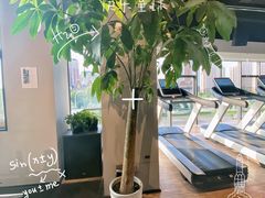 -Liking Fit 24H智能健身(旗舰店)