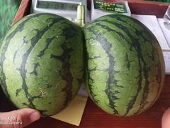 -西瓜小镇