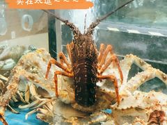 -唐宫海鲜舫