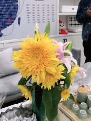 -SOR索尔祛痘·面部肌肤管理