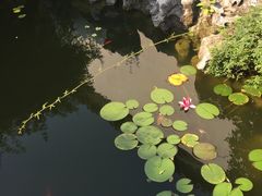 -苏州文旅花间堂·探花府酒店