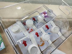 -王家墩东(地铁站)