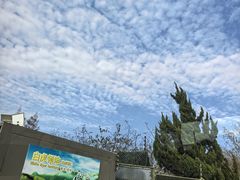 -上海野生动物园老虎餐厅