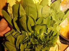 -守柴炉烤鸭(科华中路王府井店)