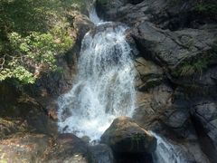 -九龙江国家森林公园