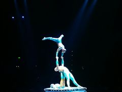 -珠海横琴长隆《卡卡虎奇遇记》