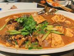昂刺鱼烧豆腐-明丰小渔馆(明月路店)