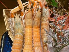 深海鳌虾-乐亭日本料理(彩虹本店)