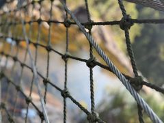 -海南热带雨林国家公园吊罗山景区