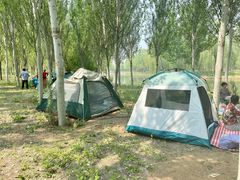 -东郊湿地公园