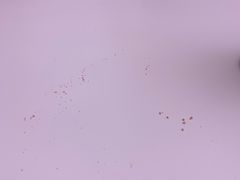 -奈雪的茶(大悦城店)