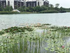 -合肥融创永乐半山酒店·永乐半山西餐厅
