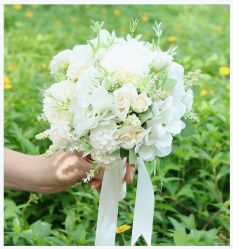 -第一夫人婚纱摄影(南京店)