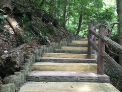 -江西阳明山国家森林公园