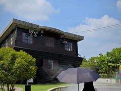 -金山农民画村-枫泾波兰倒置屋