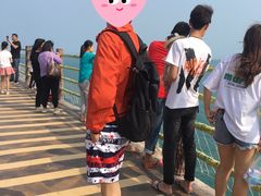 -广东惠东海龟国家级自然保护区