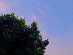 -卡旺卡(合肥半边街店)