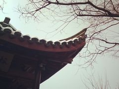 -杭州浪浪浪水公园
