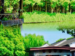 -乌镇西栅景区
