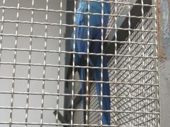 -上方山森林动物世界