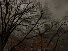 -北海道厅旧本厅舍(旧本庁舎)