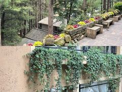 -寂照庵