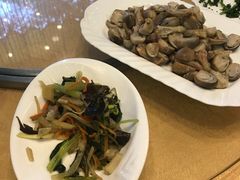 -清真·安乐园菜馆(茶南店)