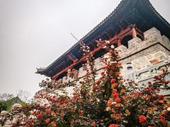 -爱新觉罗皇家博物院
