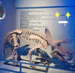 -恐龙探索乐园(磁器口店)
