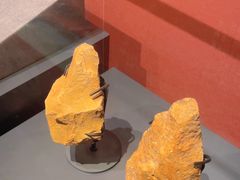 -广西壮族自治区博物馆