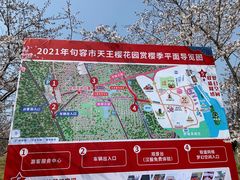 -天王浮山樱花园