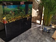 水产区-卫鼎轩·家宴(水上公园店)