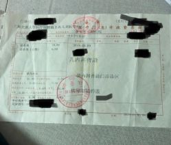 -上海交通大学医学院附属上海儿童医学中心(陆家嘴总院区)