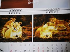 菜单-好利来(十里河店)